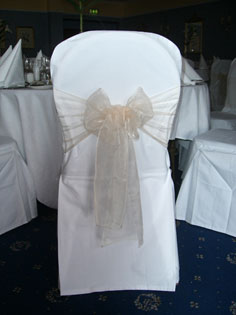 Chair and Champagne Sash