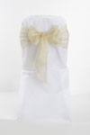 Light Gold Organza Bow