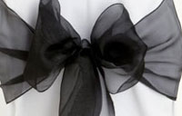 Black Organza Bow