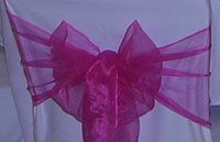 Cerise Pink Organza Bow