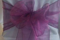 Pinky Purple Organza Bow
